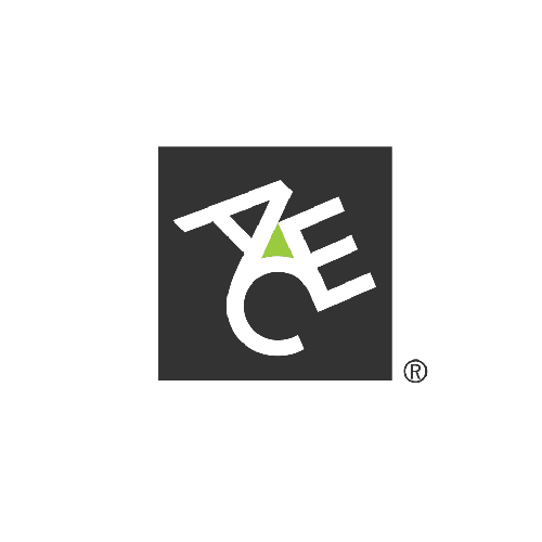 Ace Insurance Group